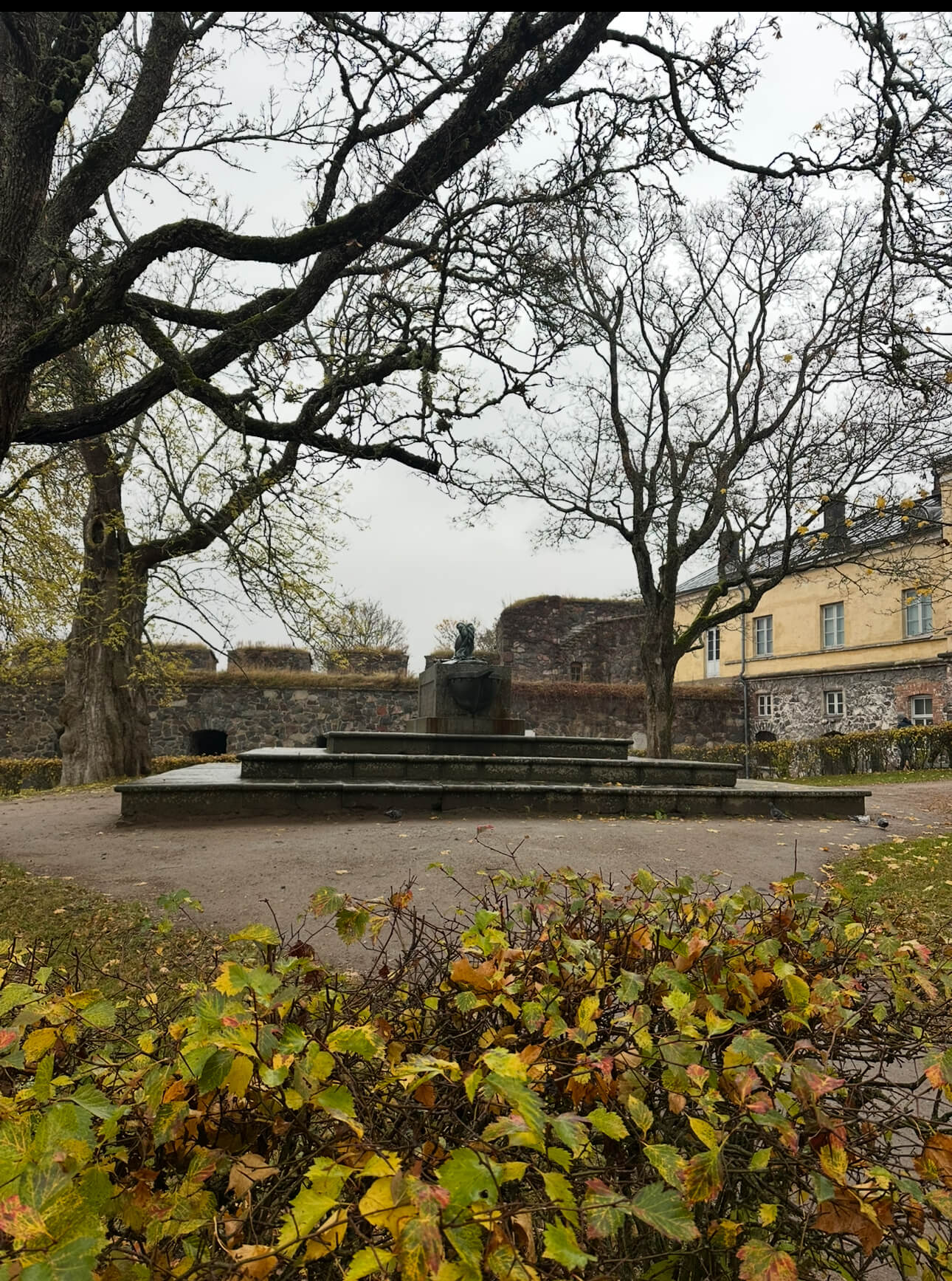 IMG 9856 1